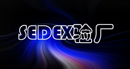 SEDEX验厂