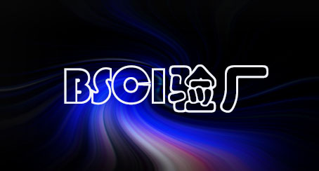 BSCI验厂